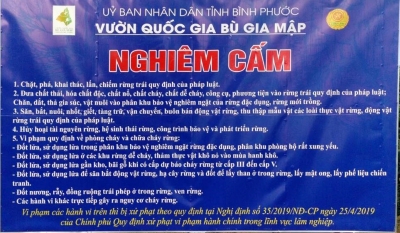 Trường THCS&THPT Đắk Mai: Tổ chức giảng dạy nội dung dịch vụ công trực tuyến cho học sinh