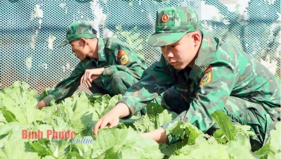 Vững vàng nơi tuyến đầu Tổ quốc 