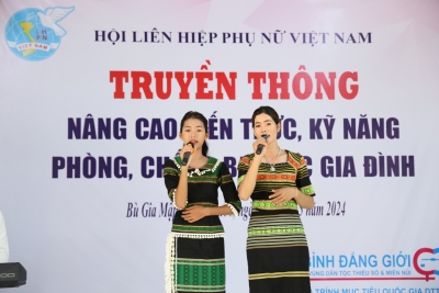 Trung ương Hội LHPN Việt Nam truyền thông phòng chống bạo lực gia đình