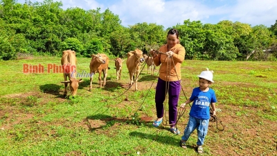 Giảm nghèo bền vững vùng dân tộc thiểu số