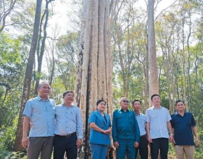 Kết nối nguồn lực bảo tồn, khơi dậy tiềm năng tài nguyên Vườn quốc gia Bù Gia Mập