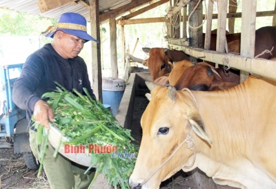 Người S’tiêng trong hành trình phát triển